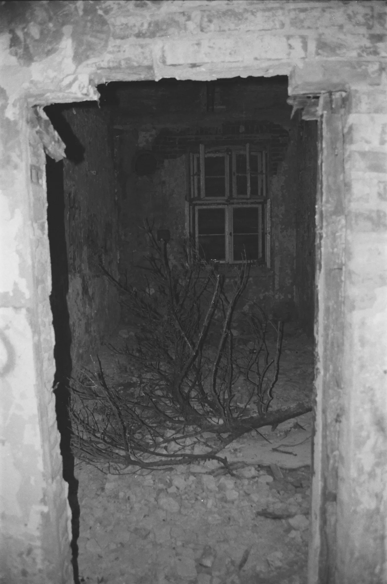 Black and white photo of a dark room with a window and fallen branches.
