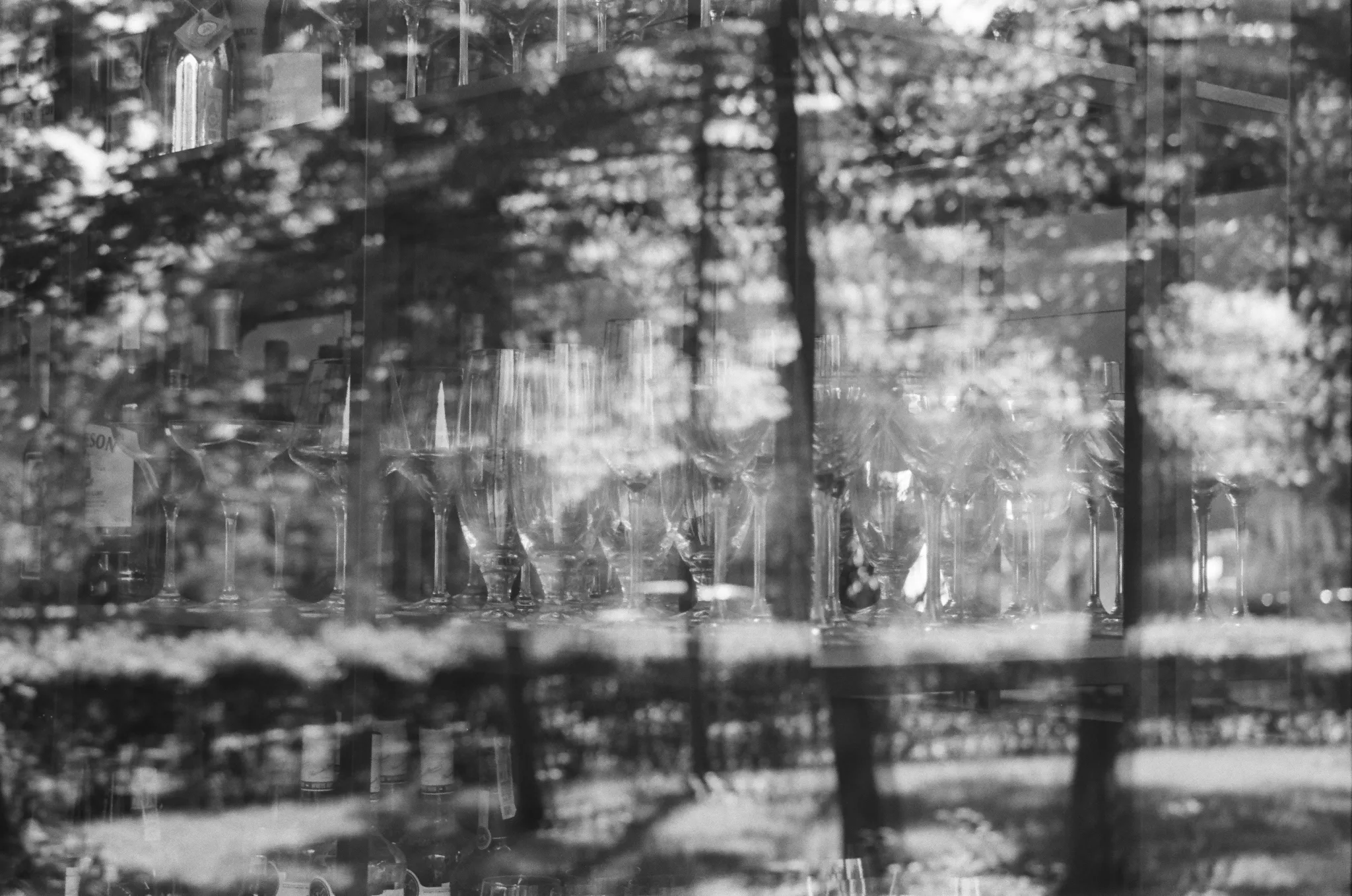 Black and white photo of a park with trees reflected in a window.