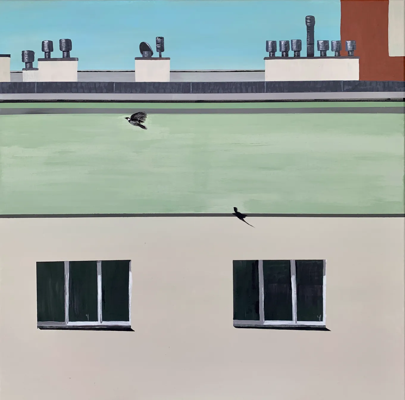 A bird flying near a building with windows and shadows.
